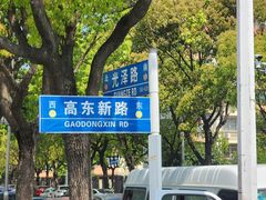 -高东镇樱花园
