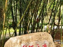 -叶挺将军纪念园