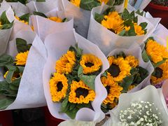 -循礼门鲜花花市(武汉循礼门店)