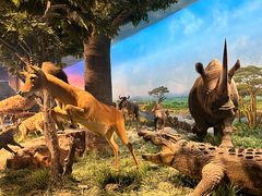 -国家自然博物馆