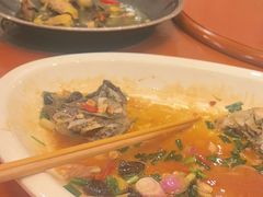 -国家五钻酒家·西樵旺阁渔村(西樵店)