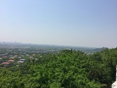 -上海佘山国家森林公园西佘山园