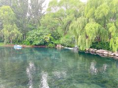 -百脉泉景区
