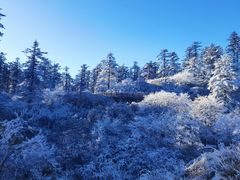 -瓦屋山景区
