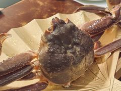 -蟹田居·活蟹料理(东城店)
