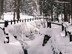-北海道神宫