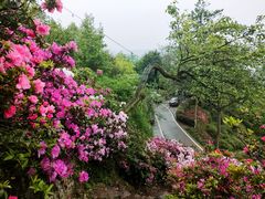 -三峡梯城