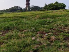 -红花山公园