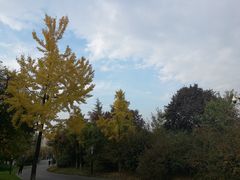 -城市运动公园(未央区)