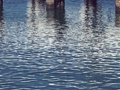 -五缘湾游艇帆船俱乐部