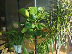 -一尺花园(安和花园店)