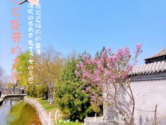 -三里河公园