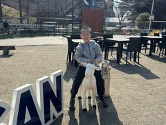 -神户市立六甲山牧场