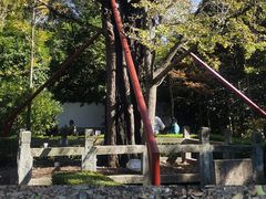 -上海佘山国家森林公园天马山园