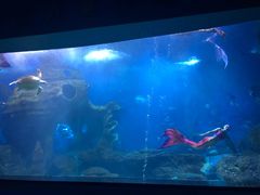 -多彩贵州城极地海洋世界