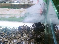 -聚盛源蒸汽海鲜火锅烤肉自助(巨川金海岸购物广场店)