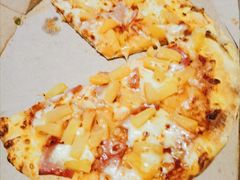 -达美乐比萨(国瑞北路店)