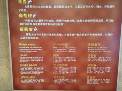 -青岛葡萄酒博物馆