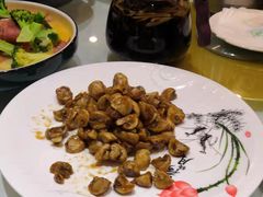 -兴芮温泉度假区