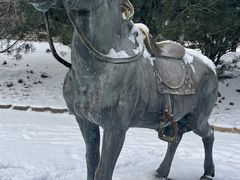 -元大都城垣遗址公园