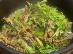 -榕江牛瘪牛肉火锅(东新路店)