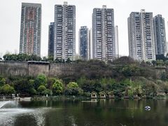 -重庆彩云湖湿地公园