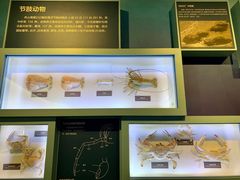 -舟山博物馆