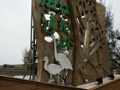 -北海金海湾红树林生态旅游区