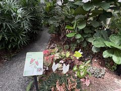 -上海鲜花港