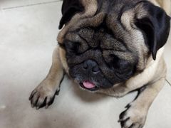 -双冰面馆(茶南店)