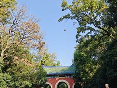 -灵谷景区
