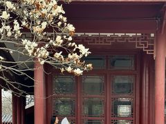 -堤角公园