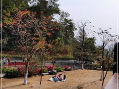 -火炉山森林公园