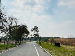 -广富林郊野公园