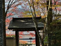 -三千院
