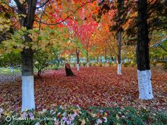 -辽宁大学(崇山校区)