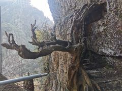 -水墨汀溪风景区