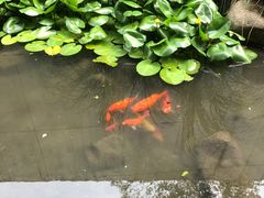 -中国湿地博物馆