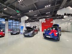 -TESLA 特斯拉(深圳观澜特斯拉直营钣喷中心)