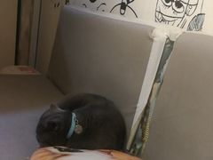 -小时光咖啡馆(开森度假森林店)