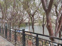 -桃花堤公园