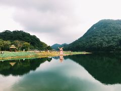 -广州市石门国家森林公园