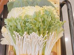 -蝎王府羊蝎子(北大地店)