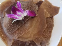 -大熊猫毛肚火锅(烟台万象汇店)