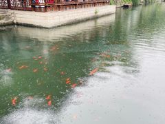 -南京总统府-旅游纪念品商店