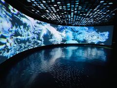 -同济大学四平路校区深海探索馆