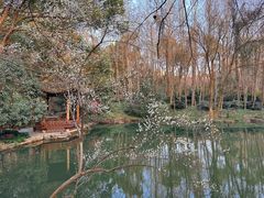 -杭州植物园
