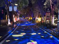 -花博汇(知音花月夜)