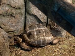 -泉州海丝野生动物世界