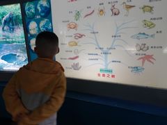 -上海昆虫博物馆